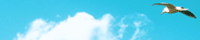 �T�C�g�̖��O